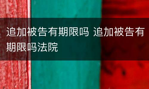 追加被告有期限吗 追加被告有期限吗法院