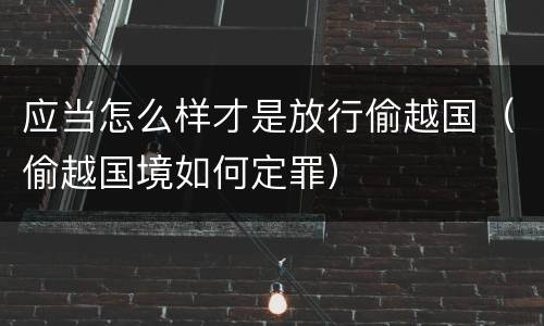 应当怎么样才是放行偷越国（偷越国境如何定罪）
