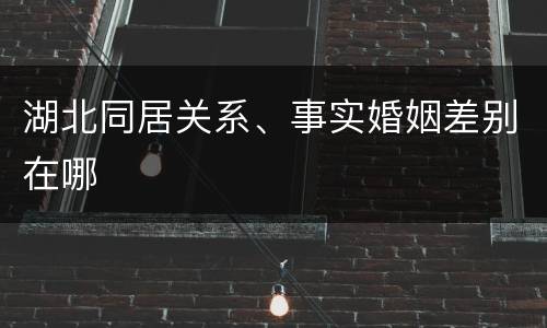 湖北同居关系、事实婚姻差别在哪