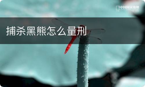 捕杀黑熊怎么量刑