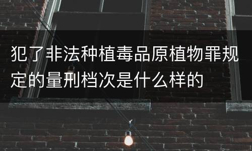 犯了非法种植毒品原植物罪规定的量刑档次是什么样的