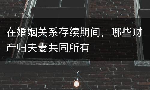 在婚姻关系存续期间，哪些财产归夫妻共同所有