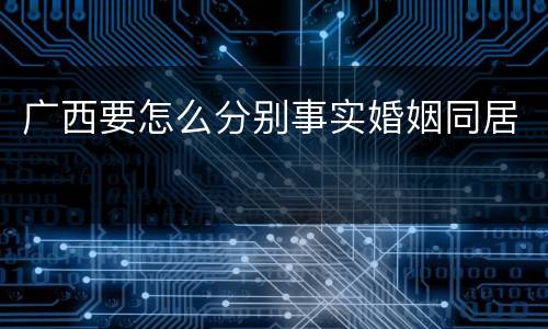 广西要怎么分别事实婚姻同居