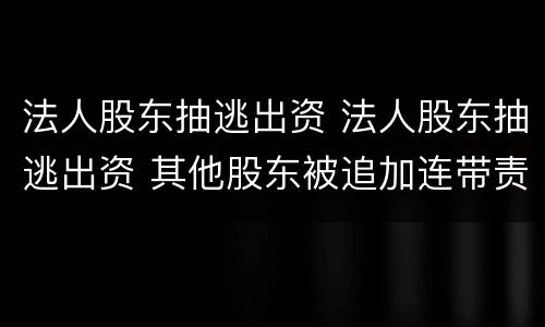 法人股东抽逃出资 法人股东抽逃出资 其他股东被追加连带责任