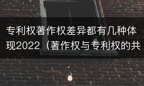 专利权著作权差异都有几种体现2022（著作权与专利权的共性有）