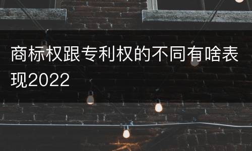 商标权跟专利权的不同有啥表现2022