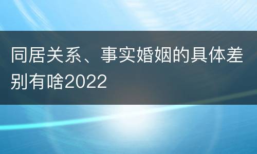 同居关系、事实婚姻的具体差别有啥2022