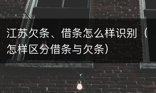 江苏欠条、借条怎么样识别（怎样区分借条与欠条）