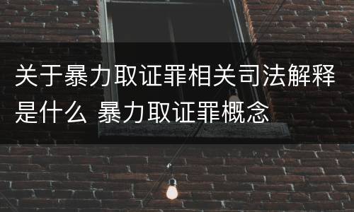 关于暴力取证罪相关司法解释是什么 暴力取证罪概念