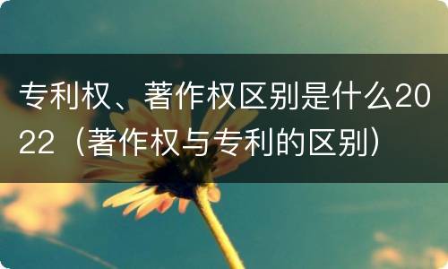 专利权、著作权区别是什么2022（著作权与专利的区别）