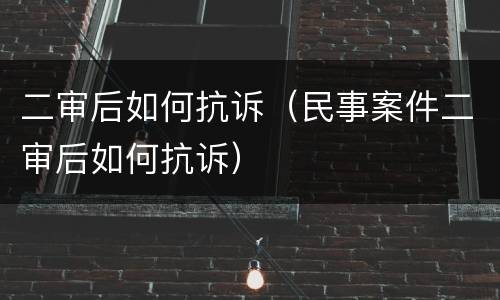 二审后如何抗诉（民事案件二审后如何抗诉）