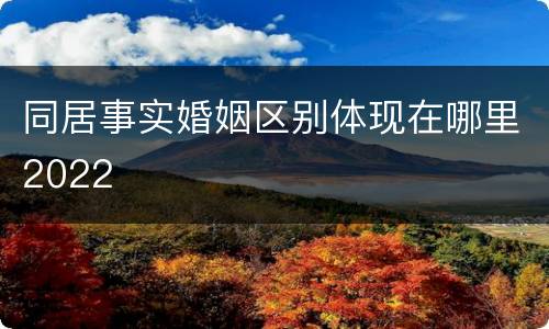 同居事实婚姻区别体现在哪里2022