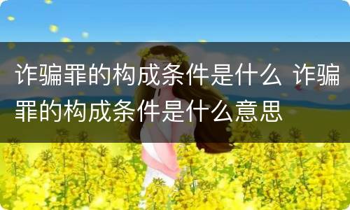 诈骗罪的构成条件是什么 诈骗罪的构成条件是什么意思