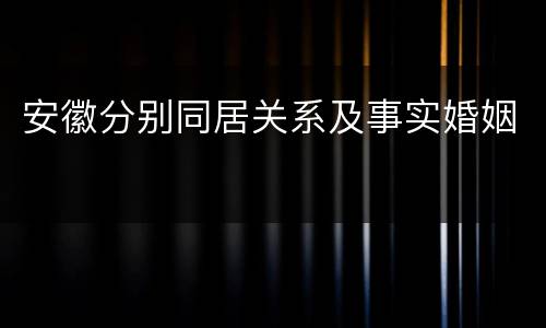 安徽分别同居关系及事实婚姻