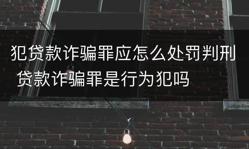 犯贷款诈骗罪应怎么处罚判刑 贷款诈骗罪是行为犯吗