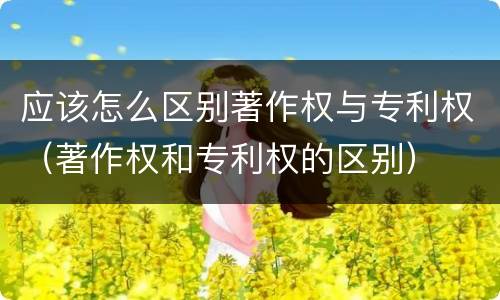 应该怎么区别著作权与专利权（著作权和专利权的区别）