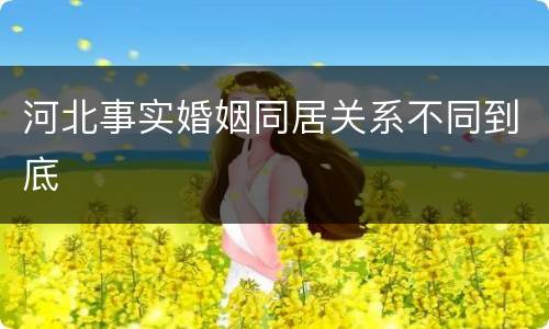 河北事实婚姻同居关系不同到底