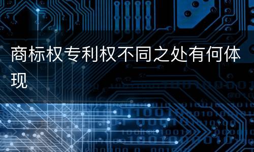 商标权专利权不同之处有何体现