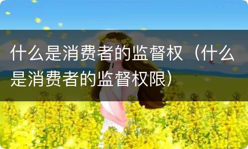 什么是消费者的监督权（什么是消费者的监督权限）