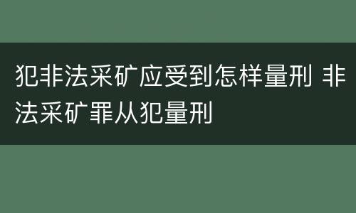 犯非法采矿应受到怎样量刑 非法采矿罪从犯量刑