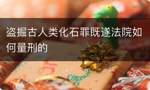 盗掘古人类化石罪既遂法院如何量刑的