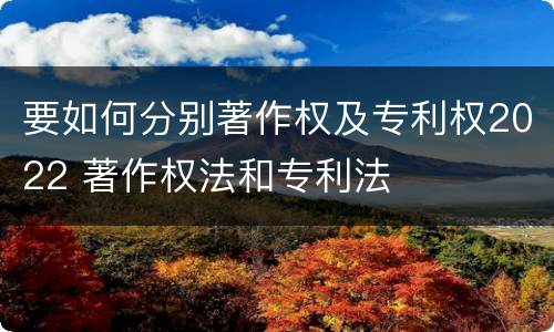 要如何分别著作权及专利权2022 著作权法和专利法