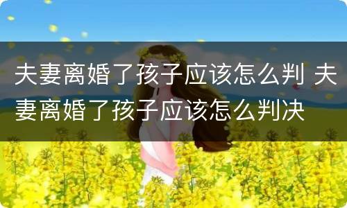 夫妻离婚了孩子应该怎么判 夫妻离婚了孩子应该怎么判决