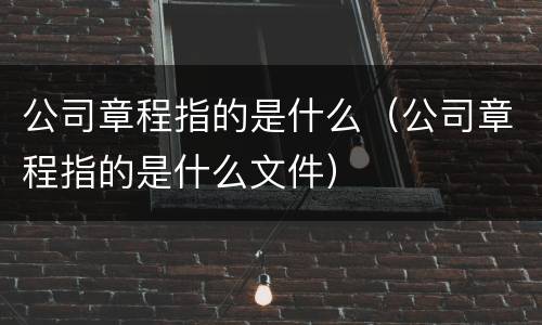 公司章程指的是什么（公司章程指的是什么文件）
