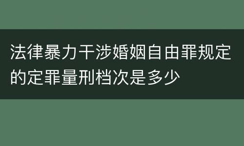 法律暴力干涉婚姻自由罪规定的定罪量刑档次是多少
