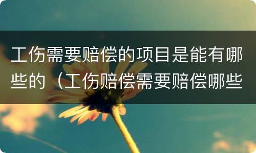 工伤需要赔偿的项目是能有哪些的（工伤赔偿需要赔偿哪些）