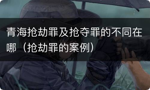 青海抢劫罪及抢夺罪的不同在哪（抢劫罪的案例）