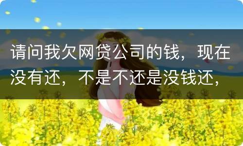 请问我欠网贷公司的钱，现在没有还，不是不还是没钱还，
