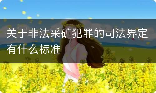 关于非法采矿犯罪的司法界定有什么标准
