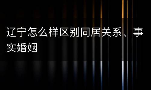 辽宁怎么样区别同居关系、事实婚姻