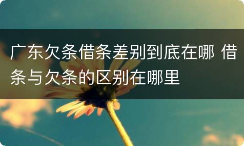 广东欠条借条差别到底在哪 借条与欠条的区别在哪里
