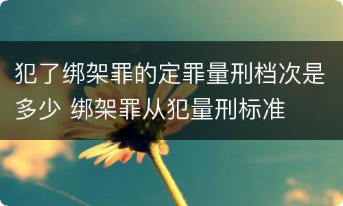 犯了绑架罪的定罪量刑档次是多少 绑架罪从犯量刑标准