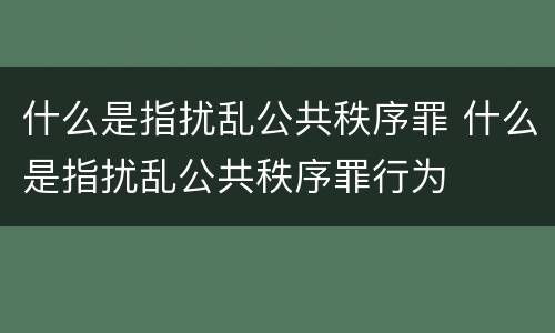 什么是指扰乱公共秩序罪 什么是指扰乱公共秩序罪行为