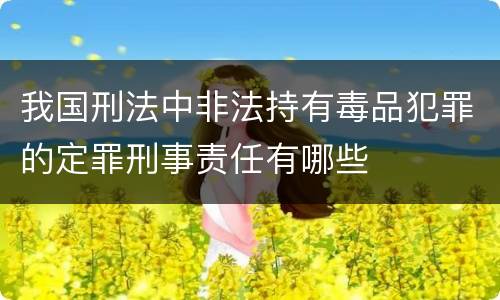 我国刑法中非法持有毒品犯罪的定罪刑事责任有哪些