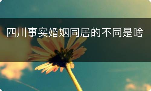 四川事实婚姻同居的不同是啥