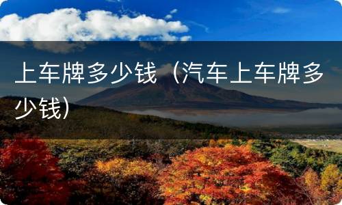 上车牌多少钱（汽车上车牌多少钱）