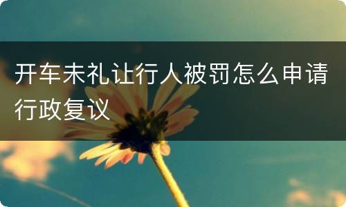 开车未礼让行人被罚怎么申请行政复议