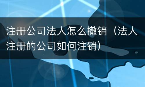 注册公司法人怎么撤销（法人注册的公司如何注销）