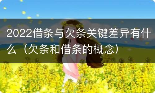 2022借条与欠条关键差异有什么（欠条和借条的概念）