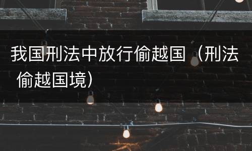 我国刑法中放行偷越国（刑法 偷越国境）