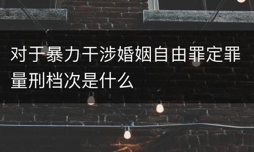 对于暴力干涉婚姻自由罪定罪量刑档次是什么