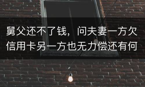 舅父还不了钱，问夫妻一方欠信用卡另一方也无力偿还有何规定