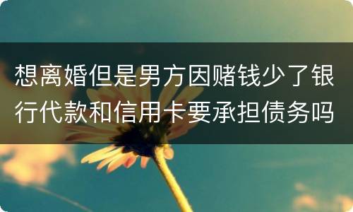 想离婚但是男方因赌钱少了银行代款和信用卡要承担债务吗