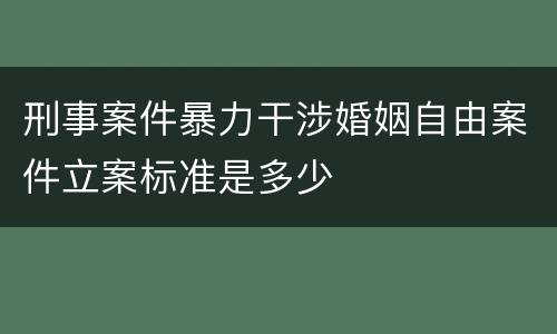 刑事案件暴力干涉婚姻自由案件立案标准是多少