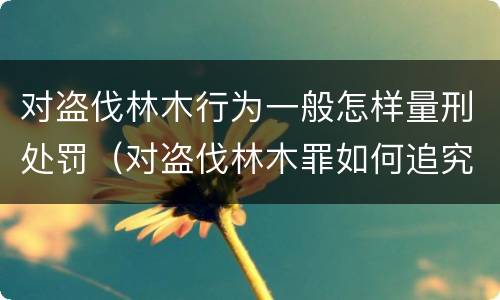 对盗伐林木行为一般怎样量刑处罚（对盗伐林木罪如何追究法律责任）