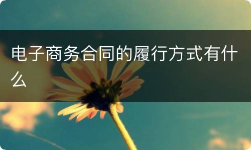 电子商务合同的履行方式有什么